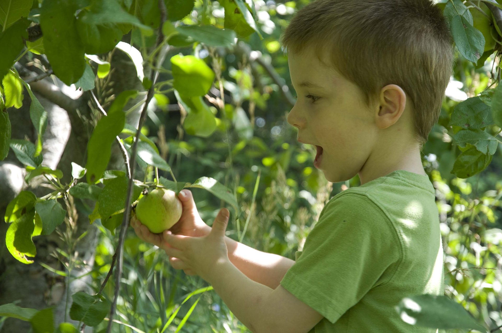 Can We Finally End the Philosophical Debate on Happiness?