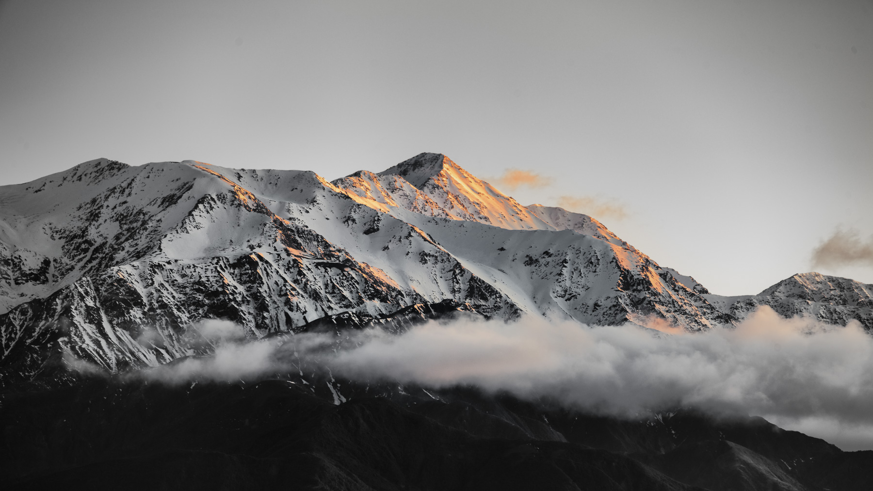 Oceans and Mountains, Whales and Seals, Oh My!