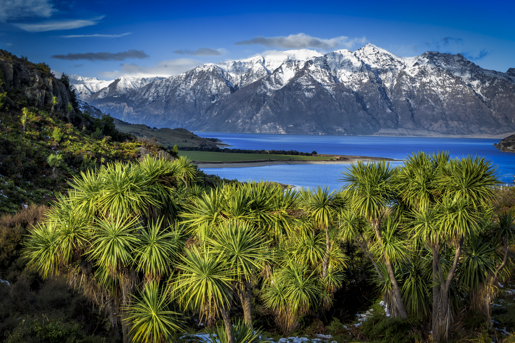 Surfing and Skiing on the Same Day  — Winter in New Zealand