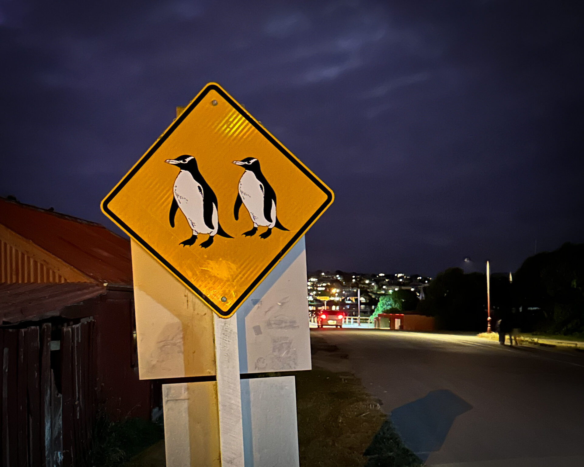 Steampunk, Victorian Penguins — Oamaru, New Zealand